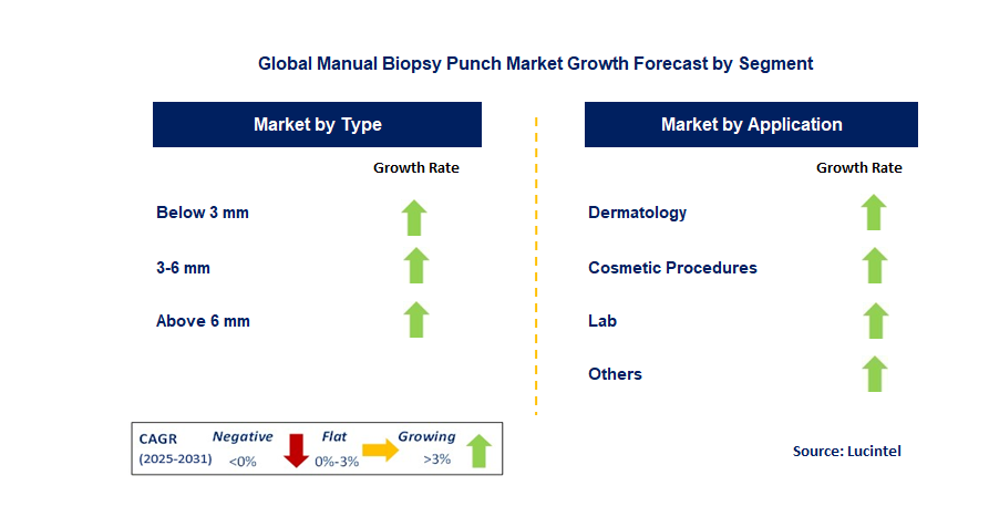 Manual Biopsy Punch Market by Segment