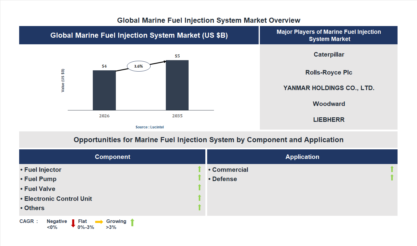 Marine Fuel Injection System Market Trends and Forecast