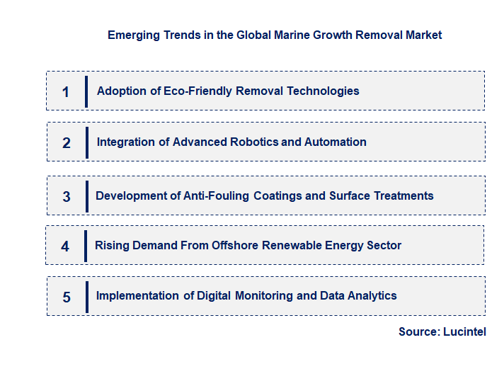 Emerging Trends in the Marine Growth Removal Market Emerging Trends in the Marine Growth Removal Market
