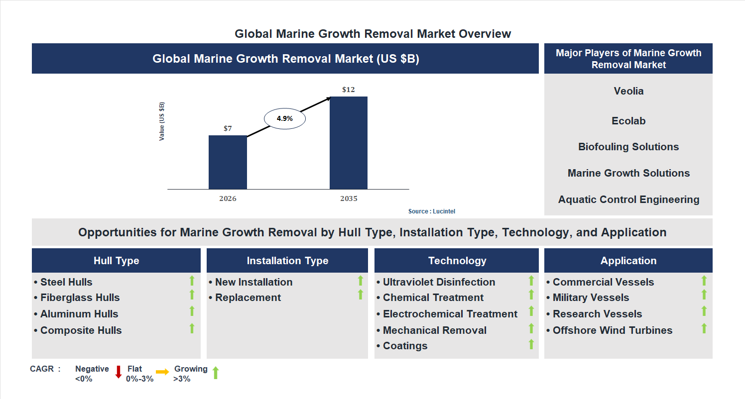 Marine Growth Removal Market Trends and Forecast Marine Growth Removal Market Trends and Forecast