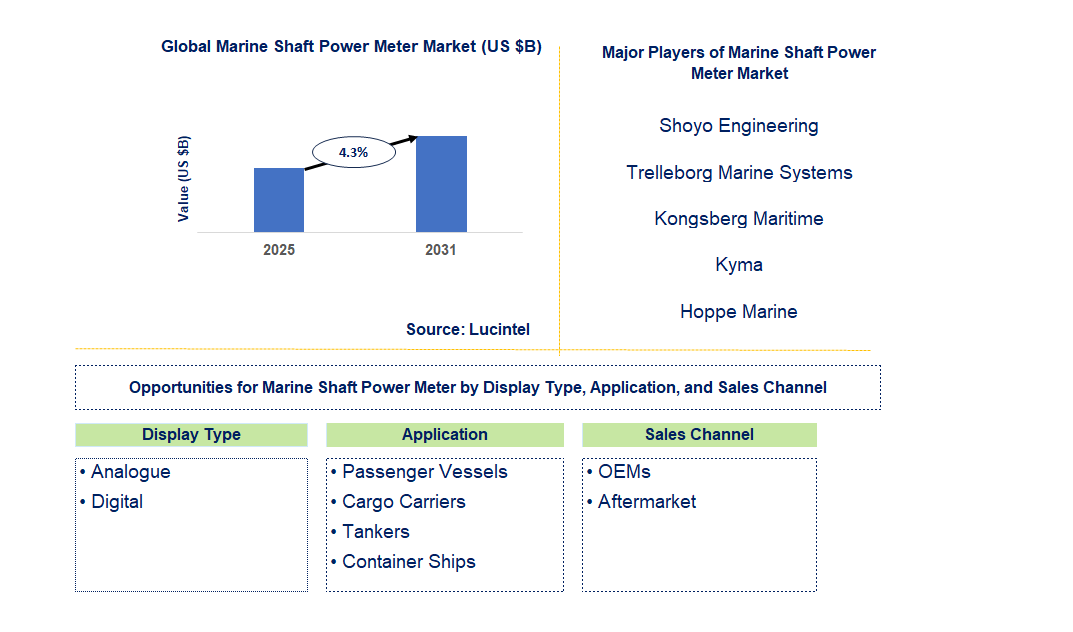 Marine Shaft Power Meter Market Trends and Forecast