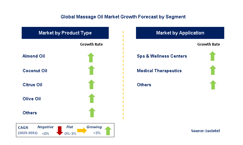 Massage Oil Market by Segment