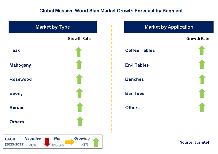 Massive Wood Slab Market by Segment