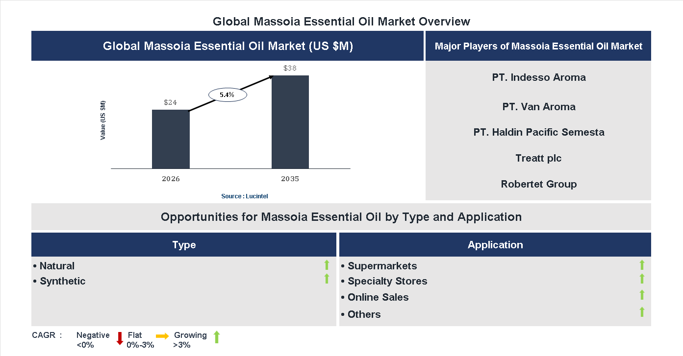 Massoia Essential Oil Market Trends and Forecast