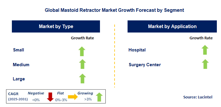 Mastoid Retractor Market by Segment