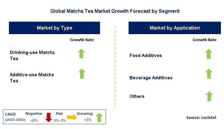 Matcha Tea Market by Segment