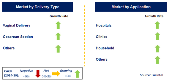 Maternal Health by Segment