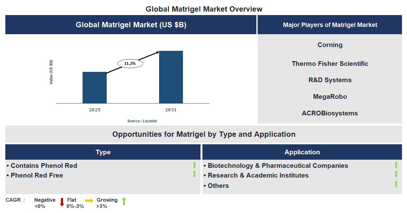 Matrigel Market Trends and Forecast