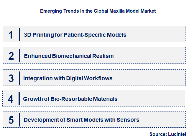 Emerging Trends in the Maxilla Model Market