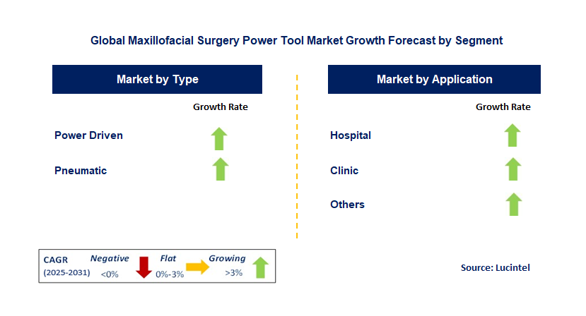 Maxillofacial Surgery Power Tool Market by Segment