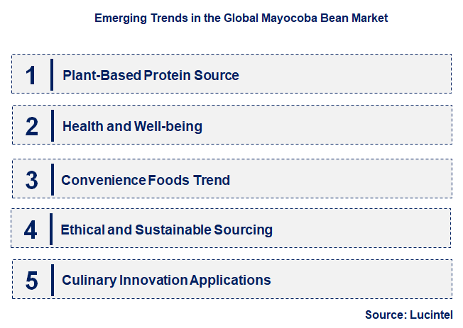 Emerging Trends in the Mayocoba Bean Market