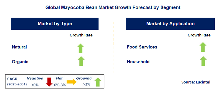 Mayocoba Bean Market by Segment