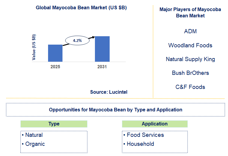 Mayocoba Bean Market Trends and Forecast