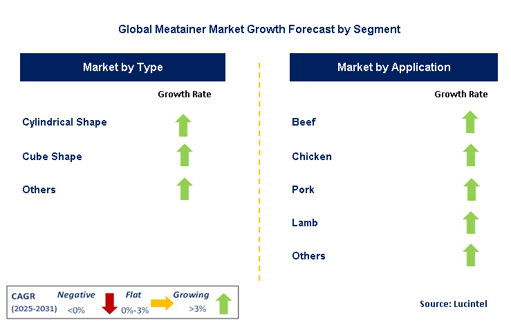 Meatainer Market by Segment