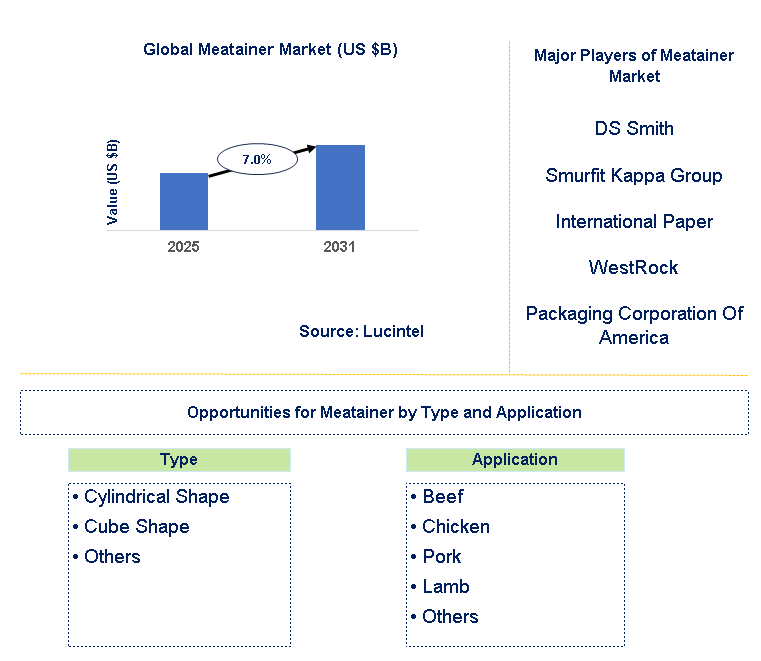 Meatainer Market Trends and Forecast