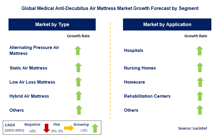 Medical Anti-Decubitus Air Mattress Market by Segment