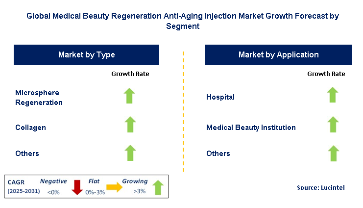 Medical Beauty Regeneration Anti-Aging Injection Market by Segment