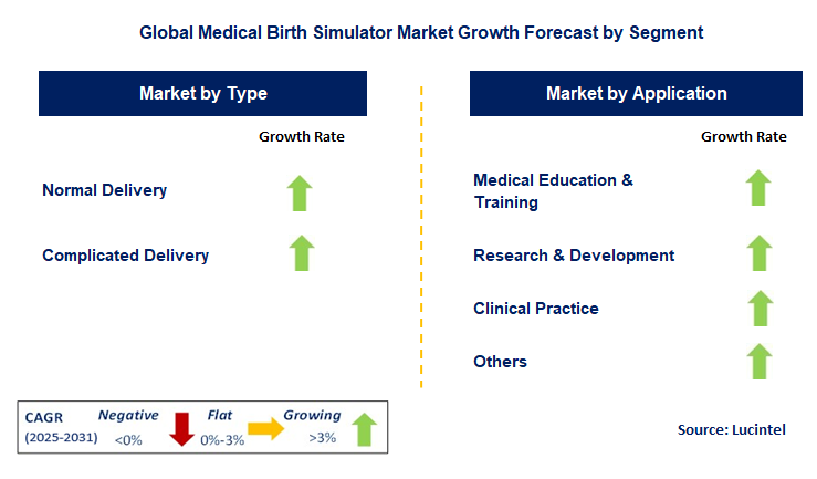Medical Birth Simulator Market by Segment