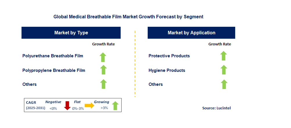 Medical Breathable Film Market by Segment