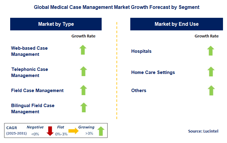 Medical Case Management Market by Segment