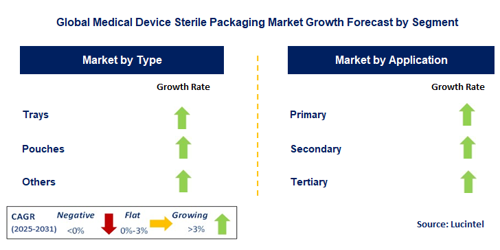 Medical Device Sterile Packaging Market by Segment
