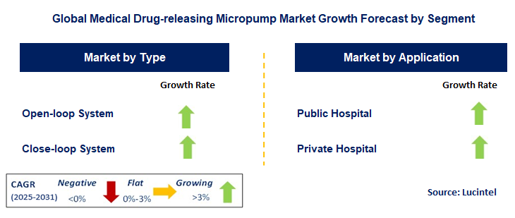 Medical Drug-releasing Micropump Market by Segment