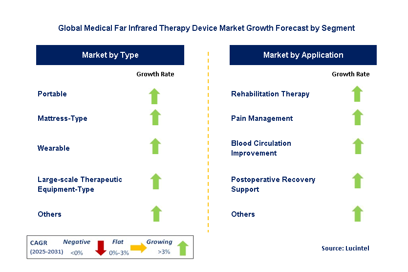 Medical Far Infrared Therapy Device Market by Segment