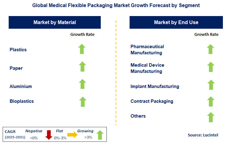 Medical Flexible Packaging Market by Segment