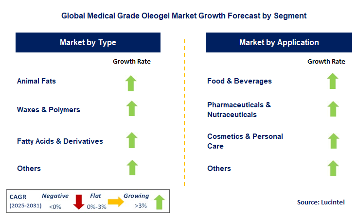 Medical Grade Oleogel Market by Segment