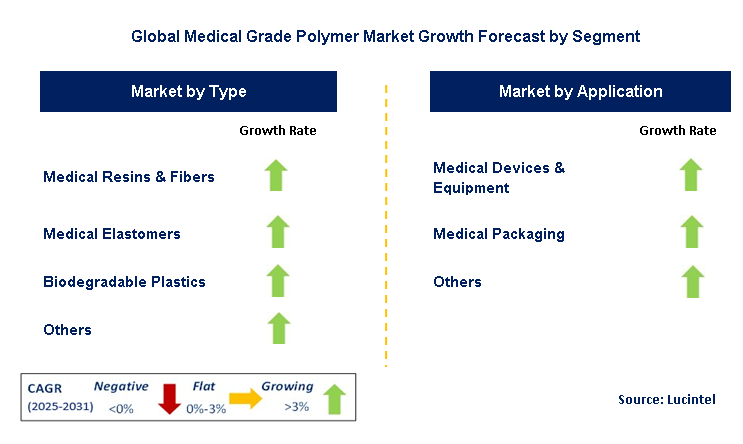 Medical Grade Polymer Market by Segment