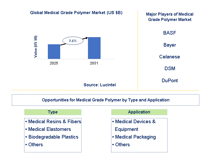Medical Grade Polymer Market Trends and Forecast