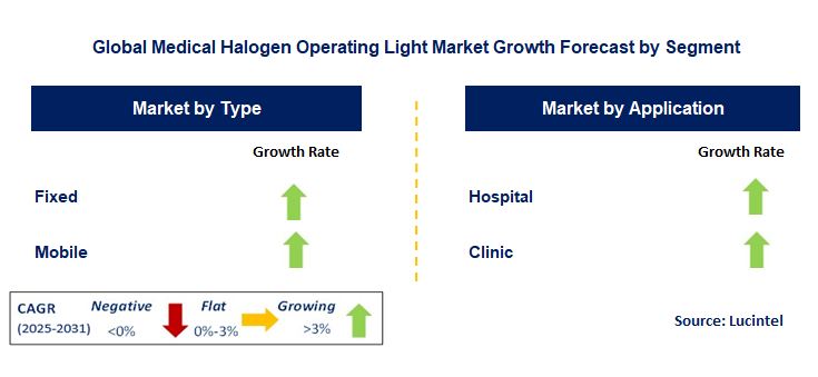 Medical Halogen Operating Light Market by Segment