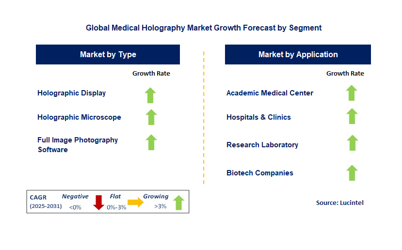 Medical Holography Market by Segment