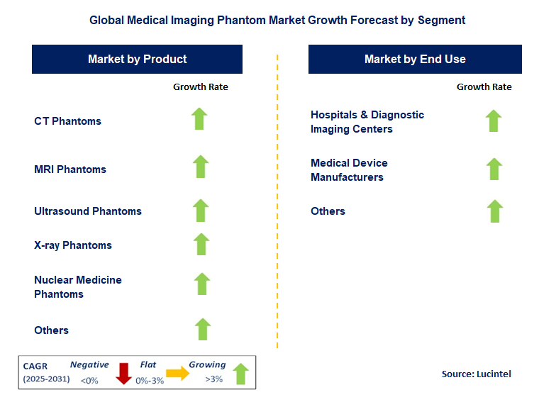 Medical Imaging Phantom Market by Segment