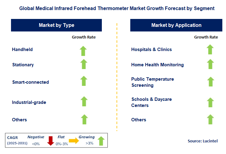 Medical Infrared Forehead Thermometer Market by Segment