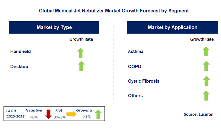Medical Jet Nebulizer Market by Segment