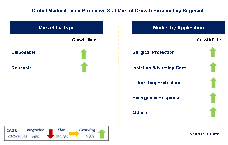 Medical Latex Protective Suit Market by Segment