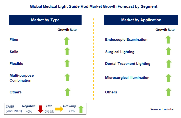 Medical Light Guide Rod Market by Segment