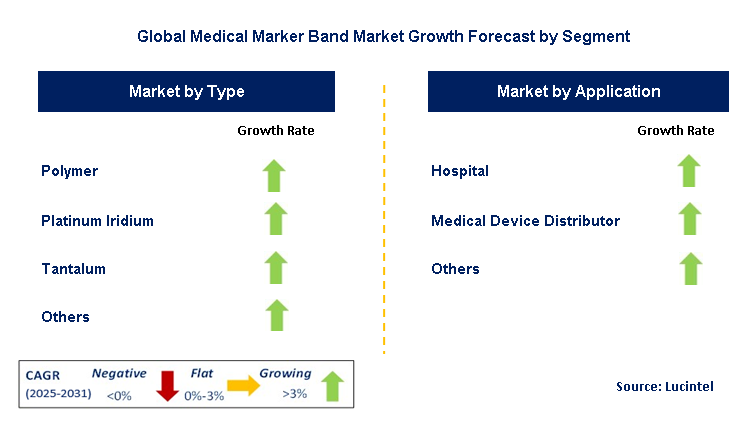 Medical Marker Band Market by Segment