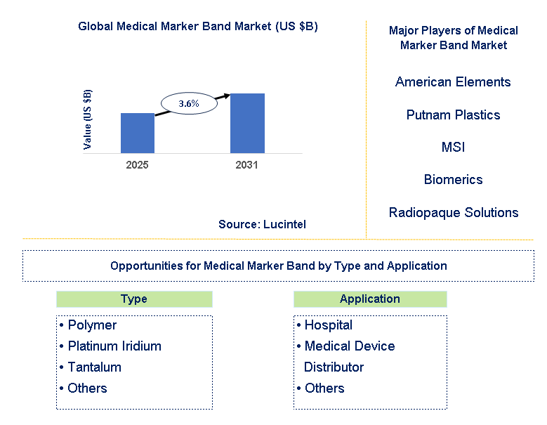 Medical Marker Band Market Trends and Forecast