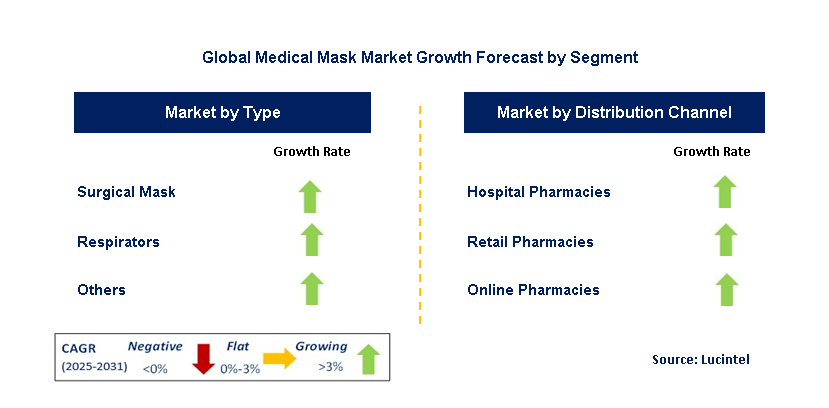 Medical Mask Market by Segment