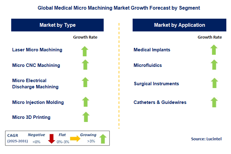 Medical Micro Machining Market by Segment