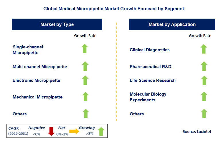 Medical Micropipette Market by Segment