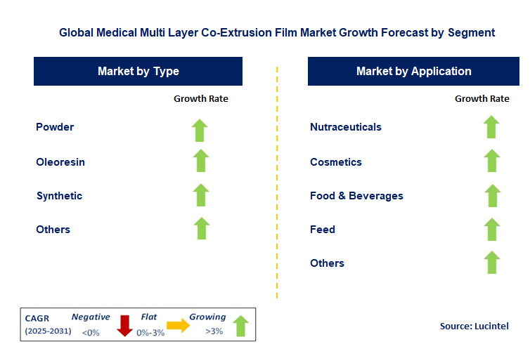 Medical Multi Layer Co-Extrusion Film Market by Segment