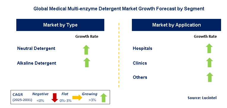 Medical Multi-enzyme Detergent Market by Segment