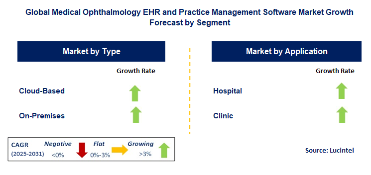 Medical Ophthalmology EHR and Practice Management Software Market by Segment