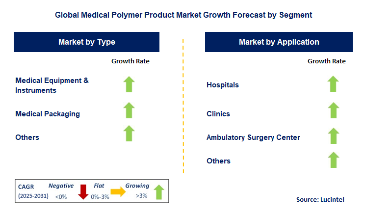 Medical Polymer Product Market by Segment