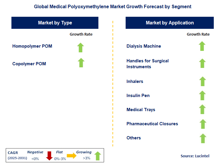 Medical Polyoxymethylene Market by Segment