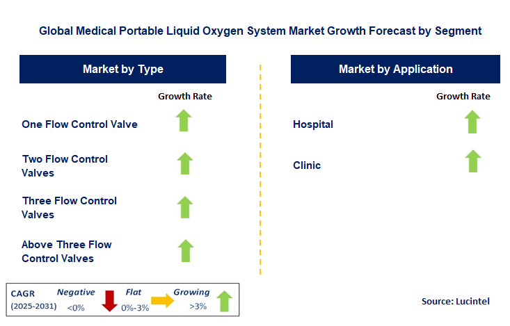 Medical Portable Liquid Oxygen System Market by Segment
