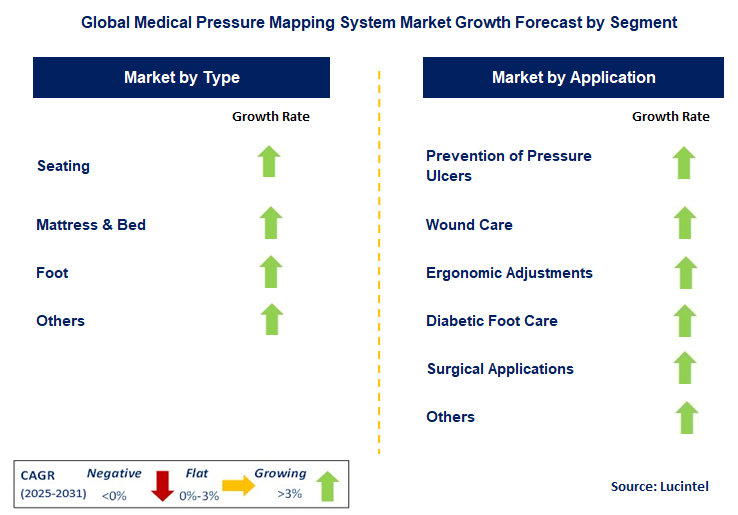 Medical Pressure Mapping System Market by Segment